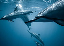 爱游戏登录入口-接机女球迷吐槽詹姆斯：哎哎哎这就走了，这都不看我们一眼